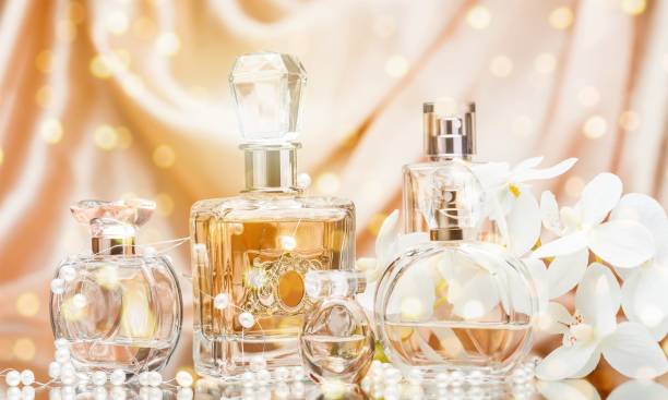 Top 10 “Inspired By” Perfumes: Discovering Fragrance Alternatives You’ll Love